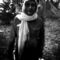 Harry Palacio profile picture