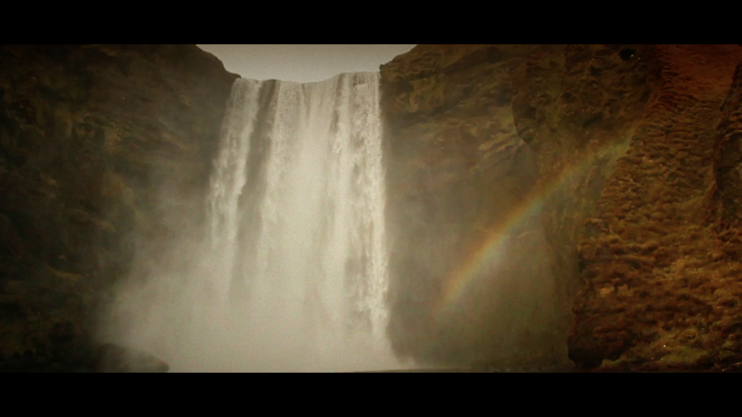 Novi_sad Performs IIC and Sirens Internationally Throughout Spring