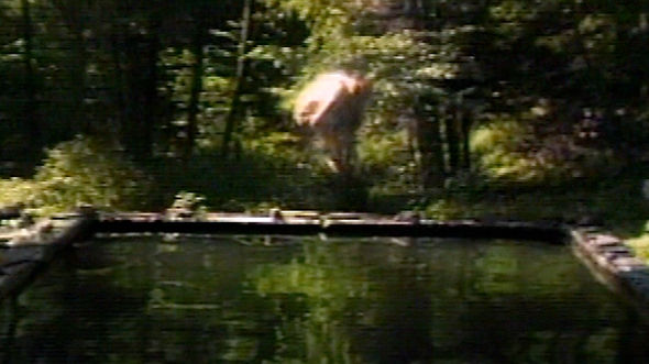 Bill Viola Presents Retrospective at Guggenheim Museum