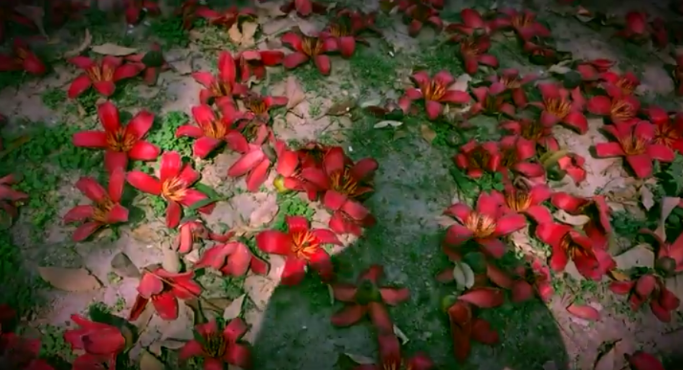 Sedition To Launch A New Collection By Imran Qureshi In September