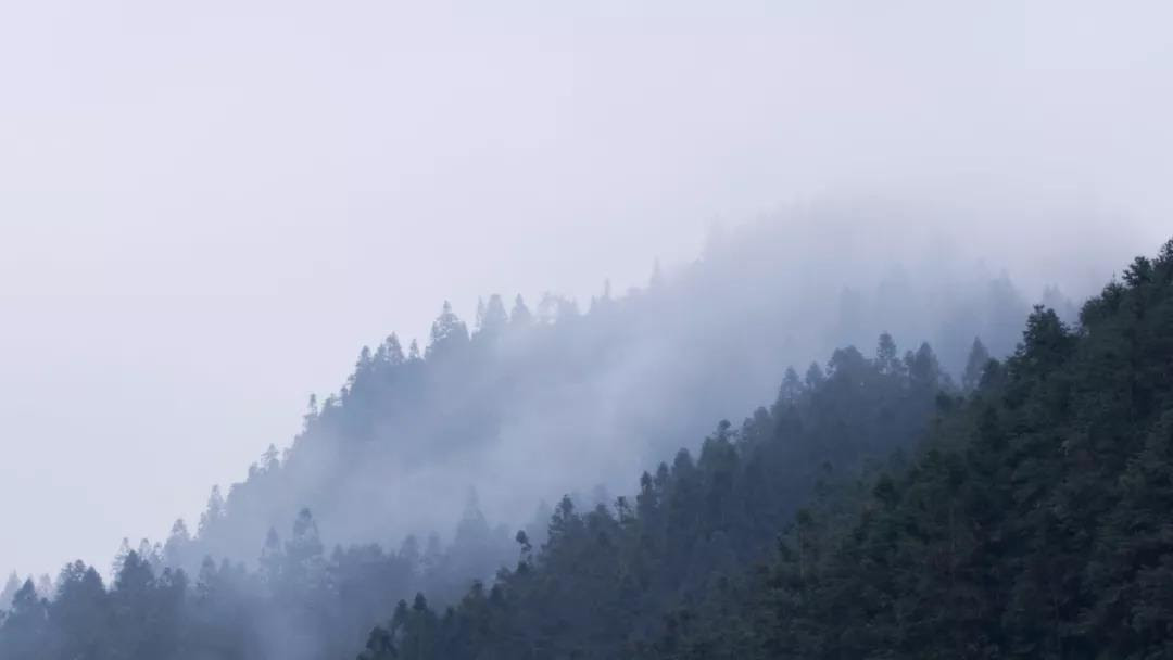 Chen Qiulin Solo Exhibition: Another Day