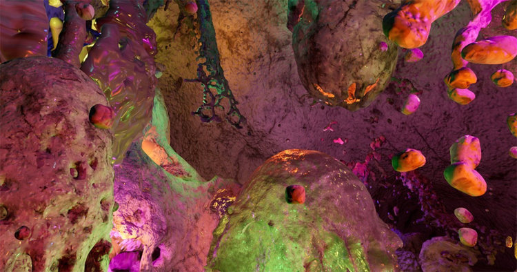 Refigure Ground: Transfer at Arebyte