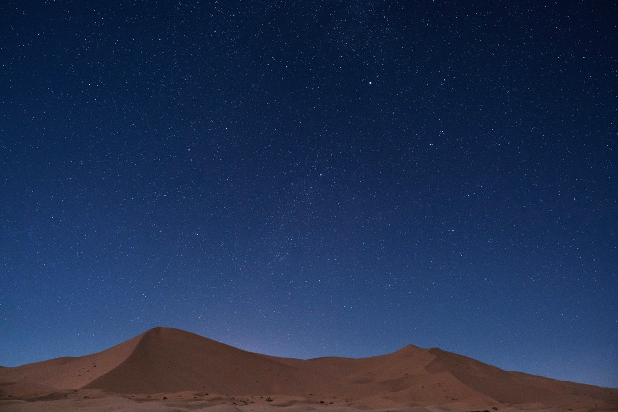 Sara Ludy: Unearth at bitforms