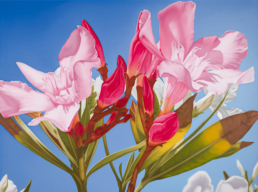 Mustafa Hulusi: Cyprus Realism