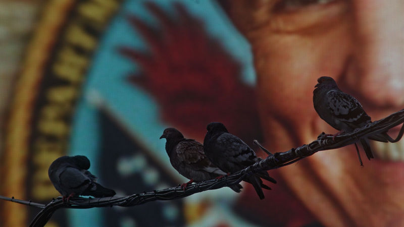 Cheng Ran, Takao Minami, Hiraki Sawa: Wanderers