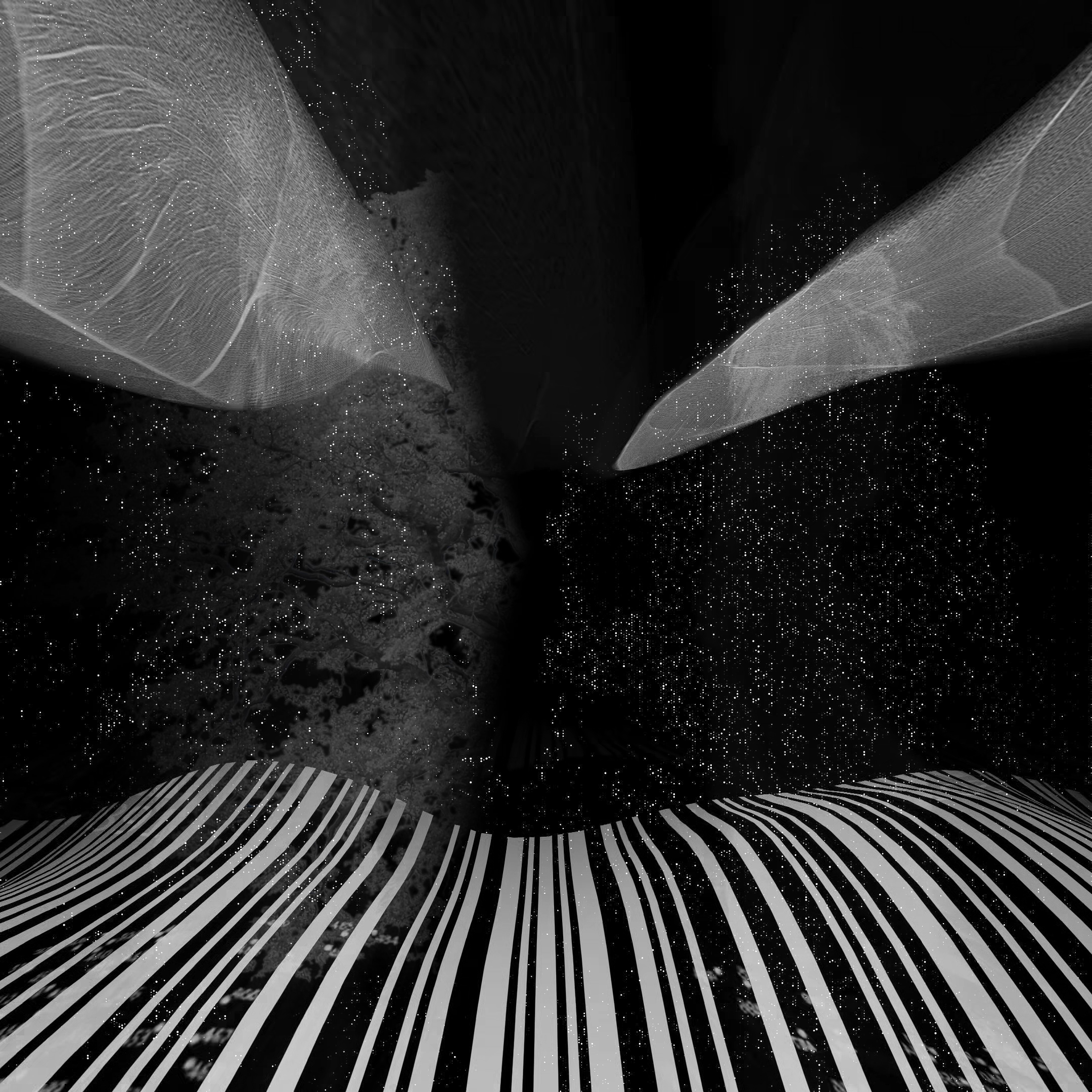 Interview with Overlap