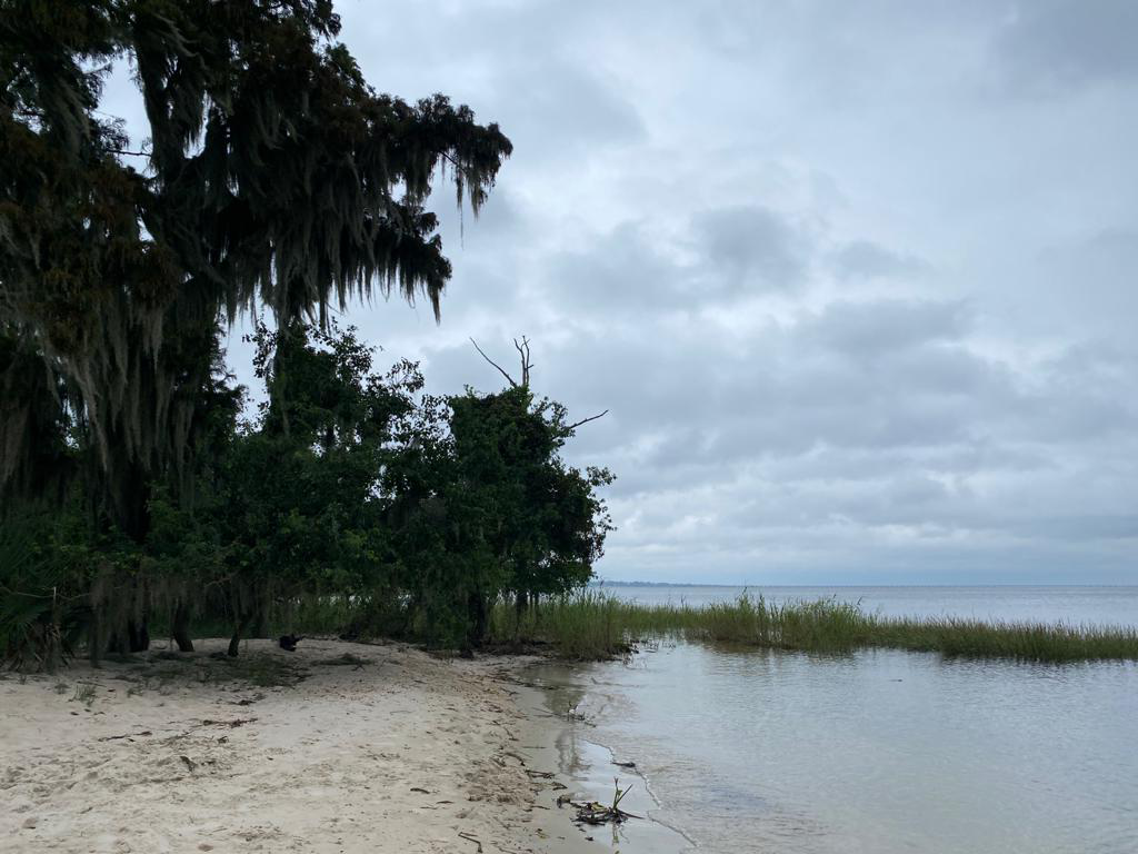 Anna Ridler: Current Residencies, Exhibitions and Talks