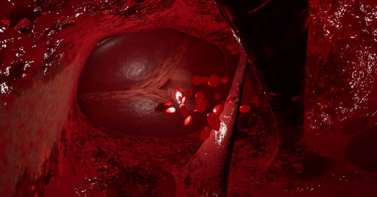 Snow Yunxue Fu: Recent and Upcoming News