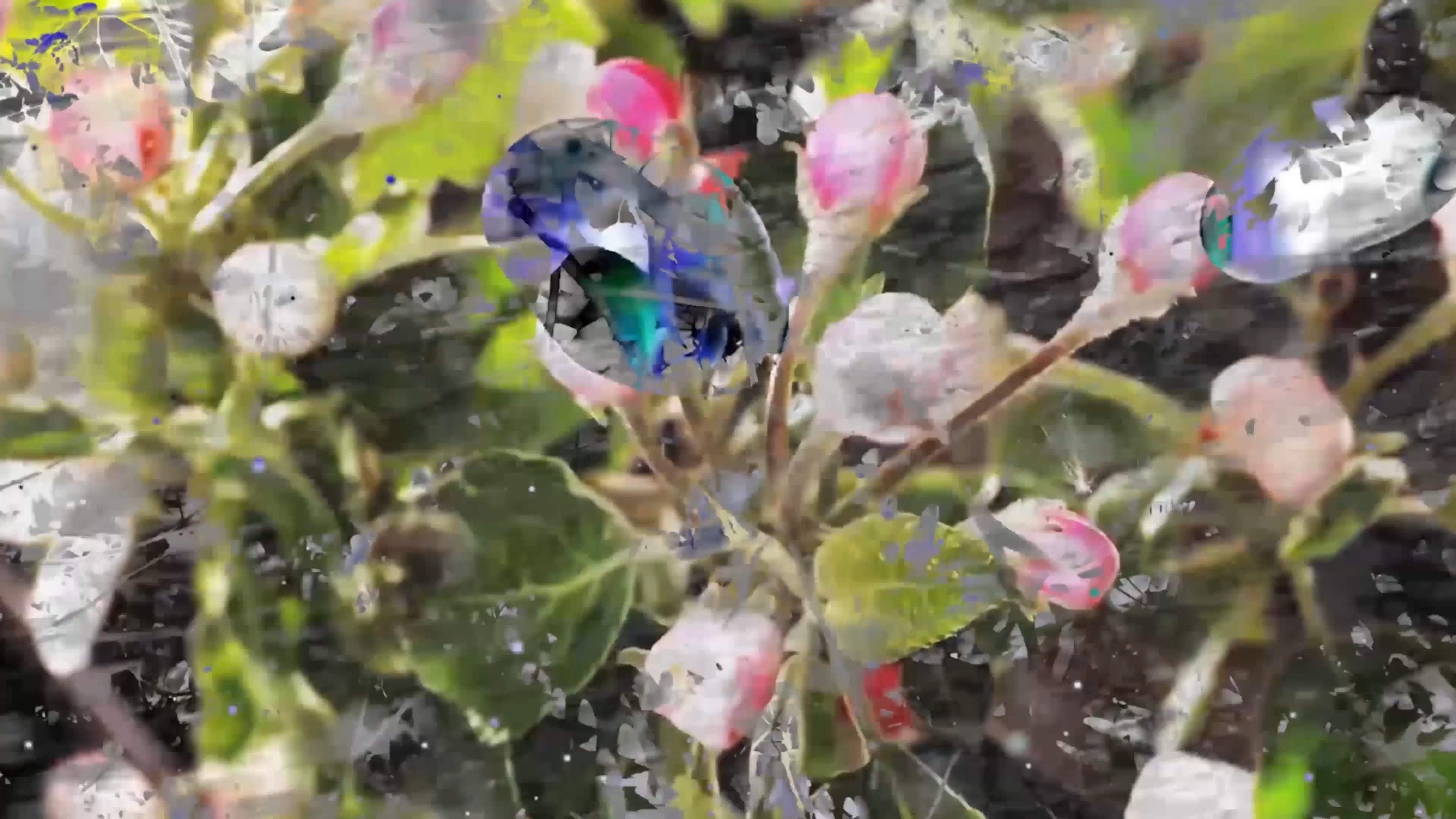 Interview with Costas Picadas