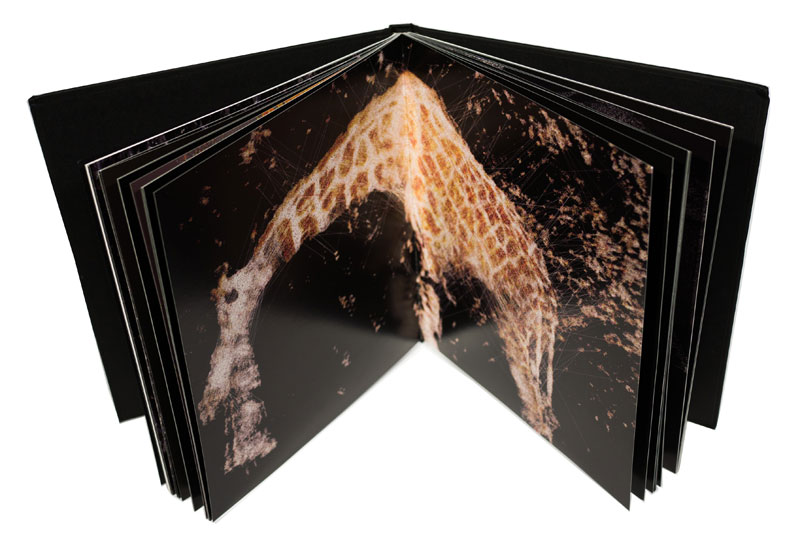 The Sirens Collection and Free Printed Book + Audio CD