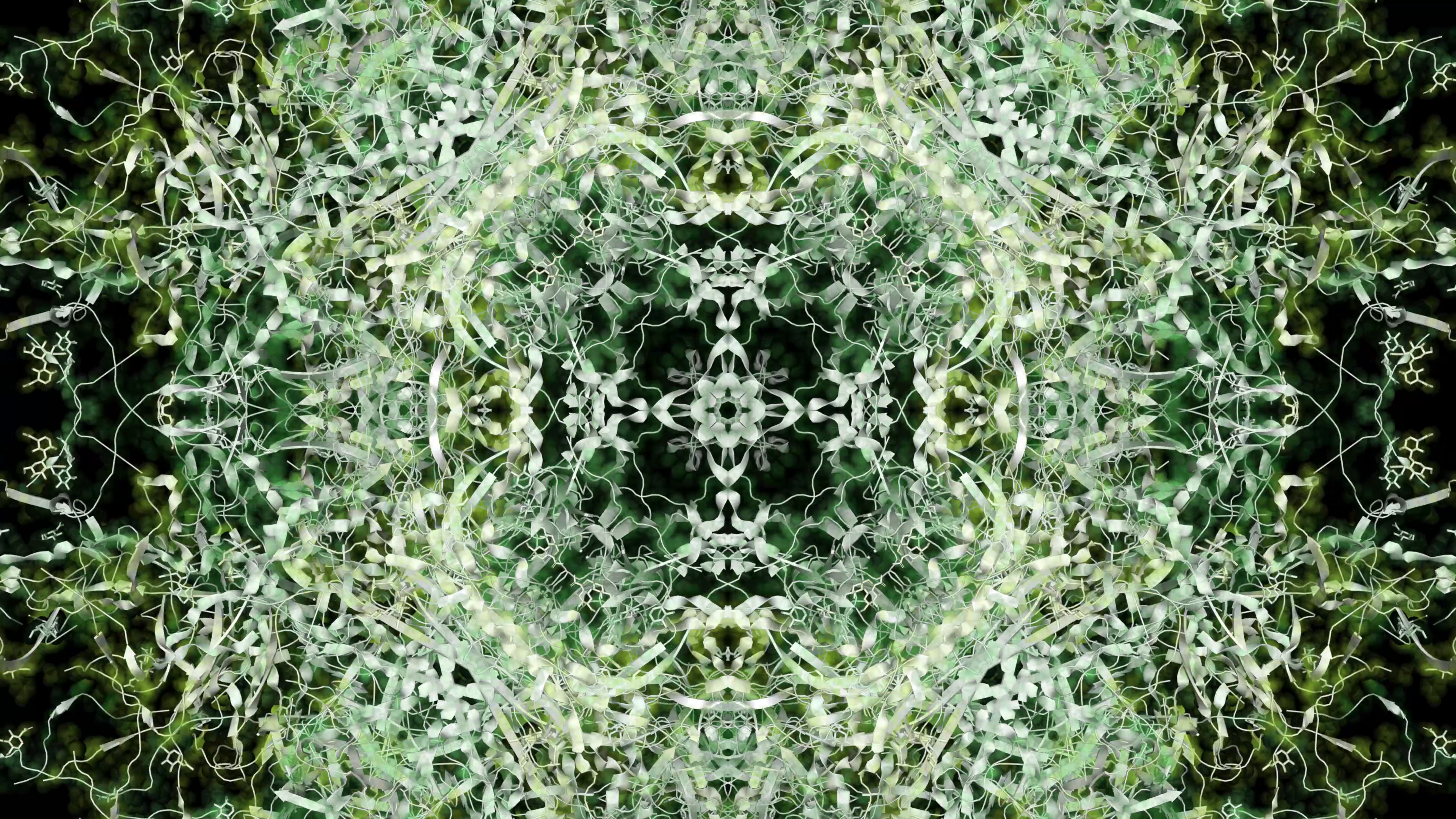 Interview with Laura Splan 