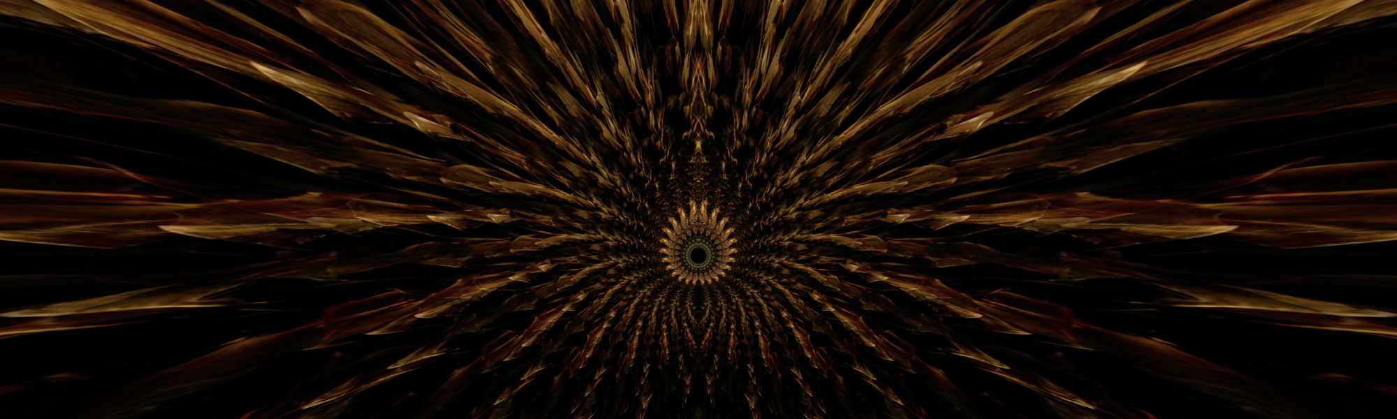 Interview with Doug Foster