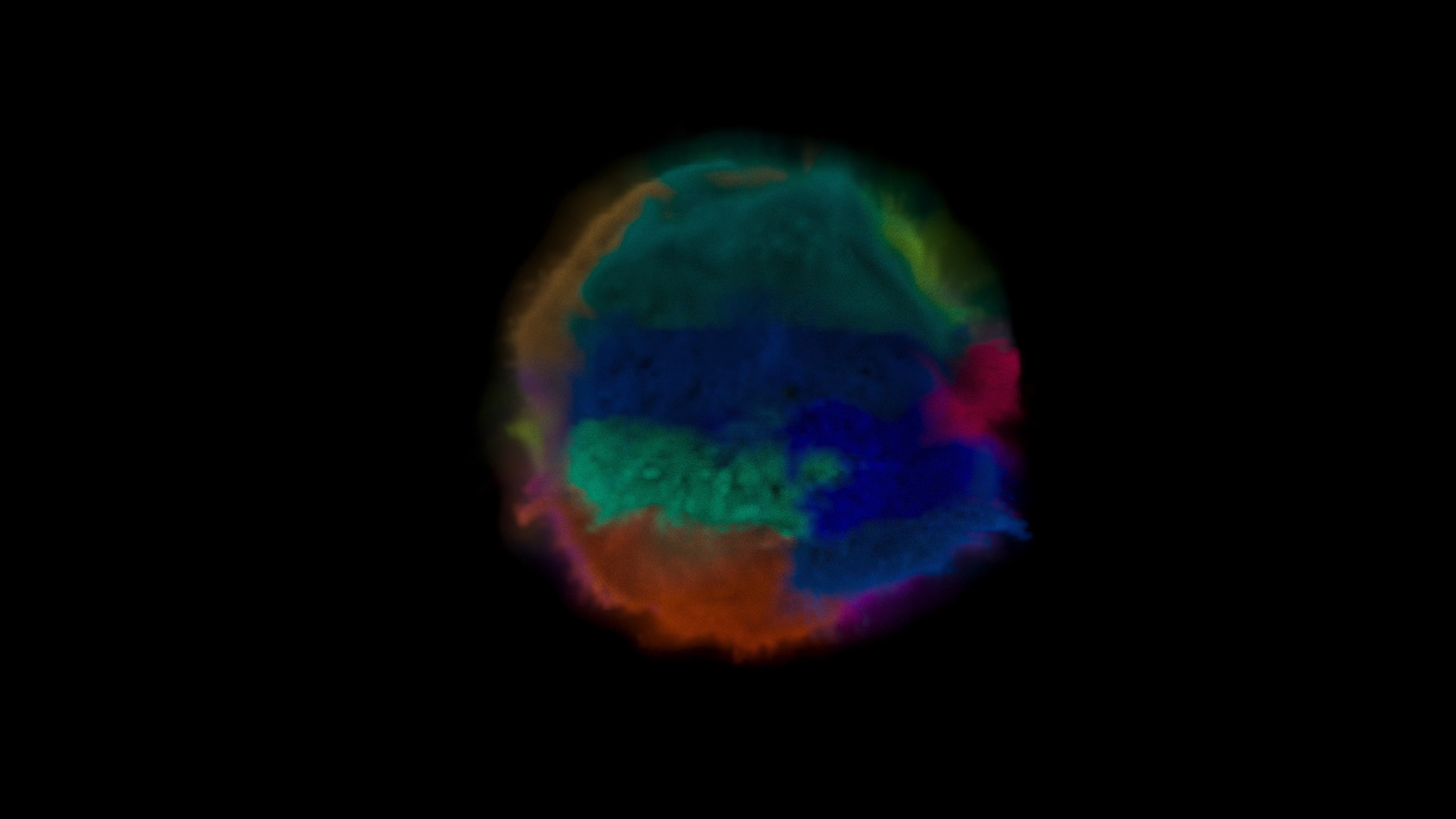 Interview with Thomas Lisle: On 'Colour of Feelings' 