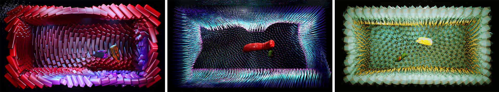 New Species by Francisco Telleria