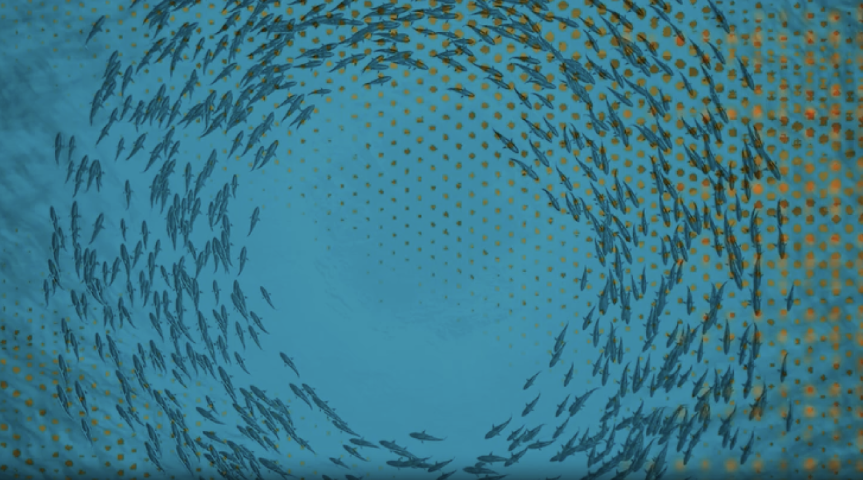 Welcome Marina Zurkow to Sedition