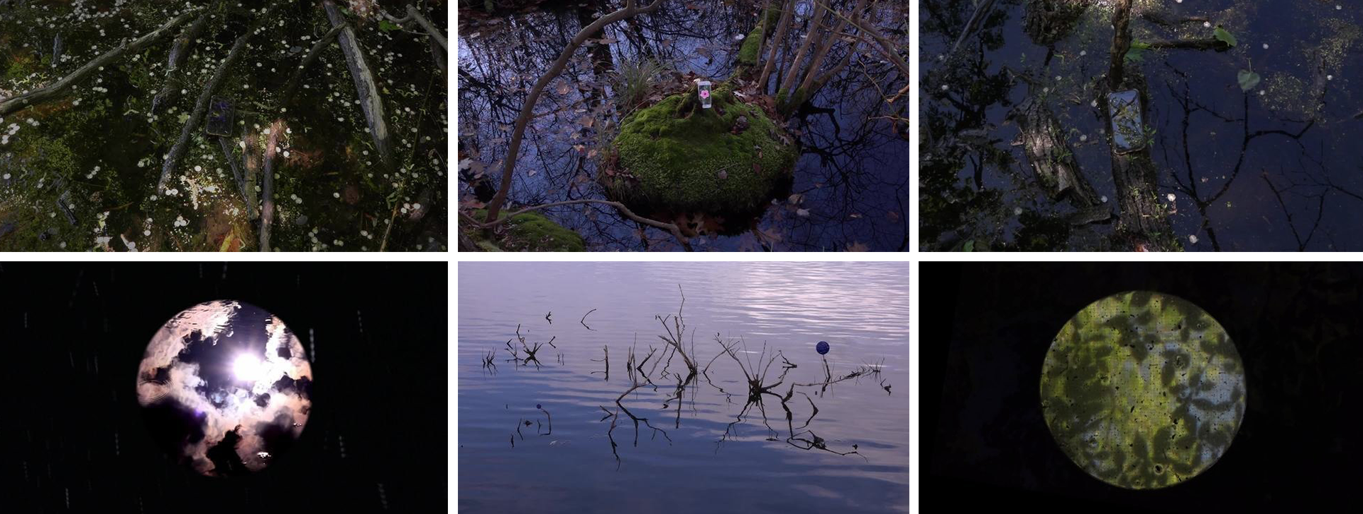 Blurring the Lines: eteam's Exploration of Art, Nature, and Technology