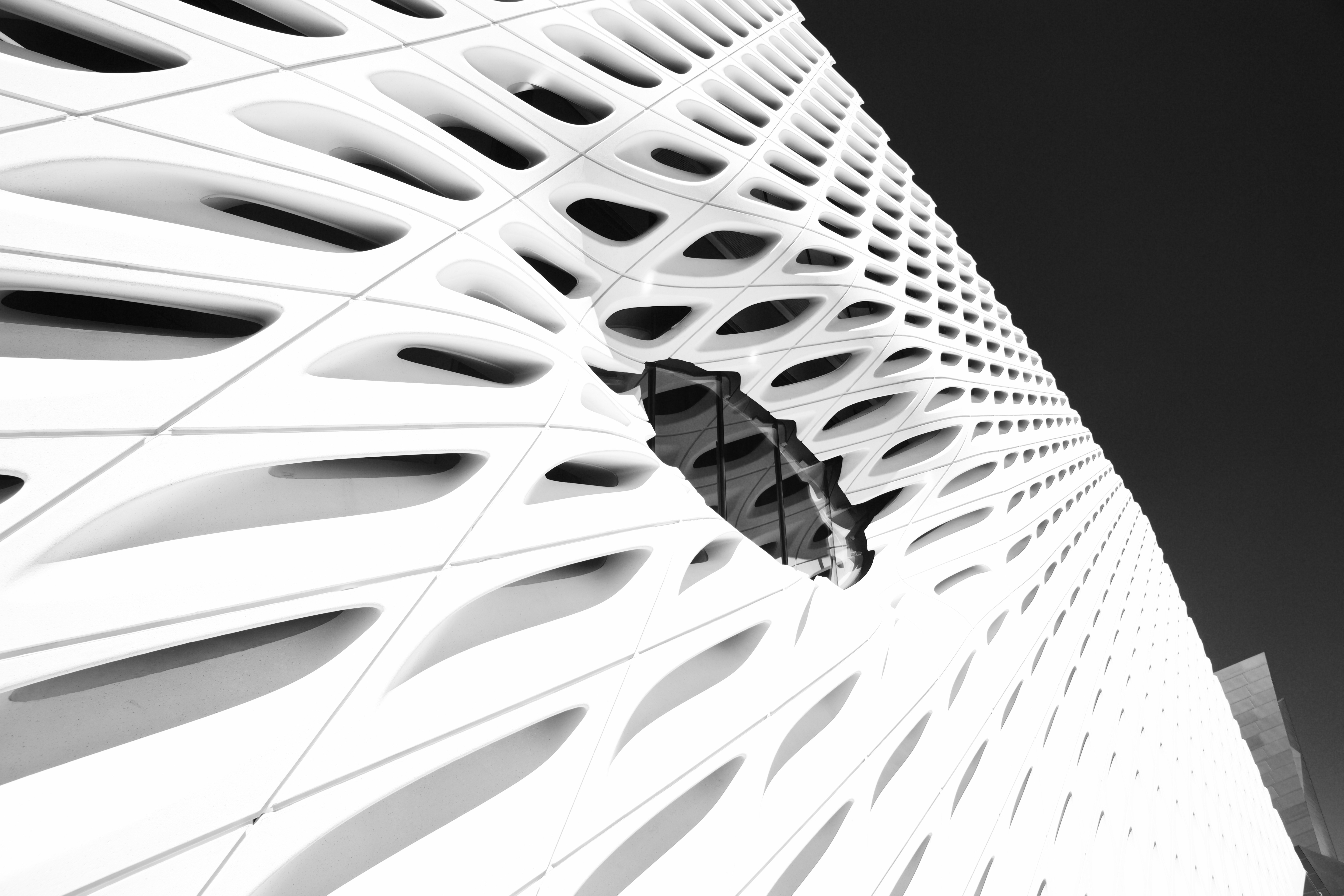 Sedition Partners With The Broad As First U.S. Museum To Offer Limited Edition Art For Digital Screens