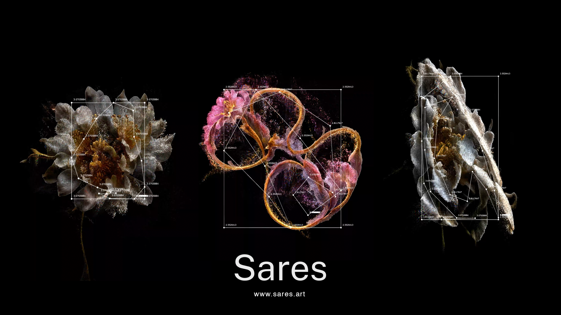 The Artist Everyone’s Talking About: Sares Launches on Sedition