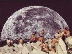 Gökçe Ç Yalçınkaya