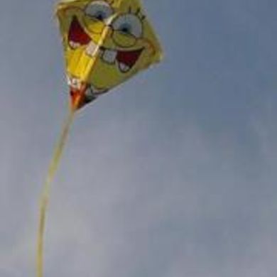 Jennifer Harris McGaughey