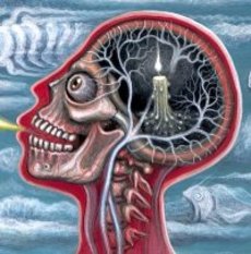 Robert Steven Connett