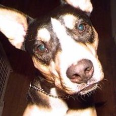 Brian James McCormick