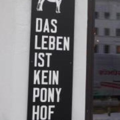 Jason Lieblang profile picture