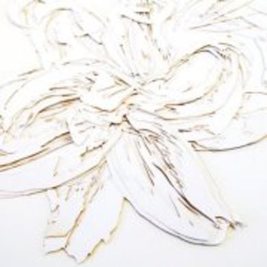 Helen Kok profile picture