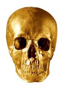 Intelligensius Anarchus