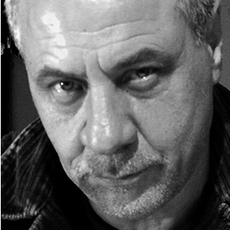 michelangelo janigro