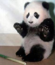 Carly-Ann McGoldrick