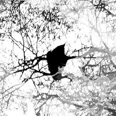 DAVID HARGREAVES - ARTFUSIONS