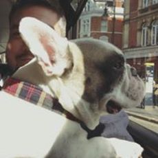 Tom Gannagé-Stewart