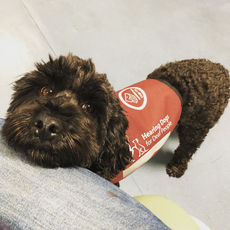 Sebastiaan Eldritch-Boersen