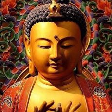 ตามพุทธ เกิดผล