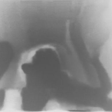 Alexander Baker profile picture