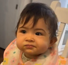 Palvinderjit Singh Gill