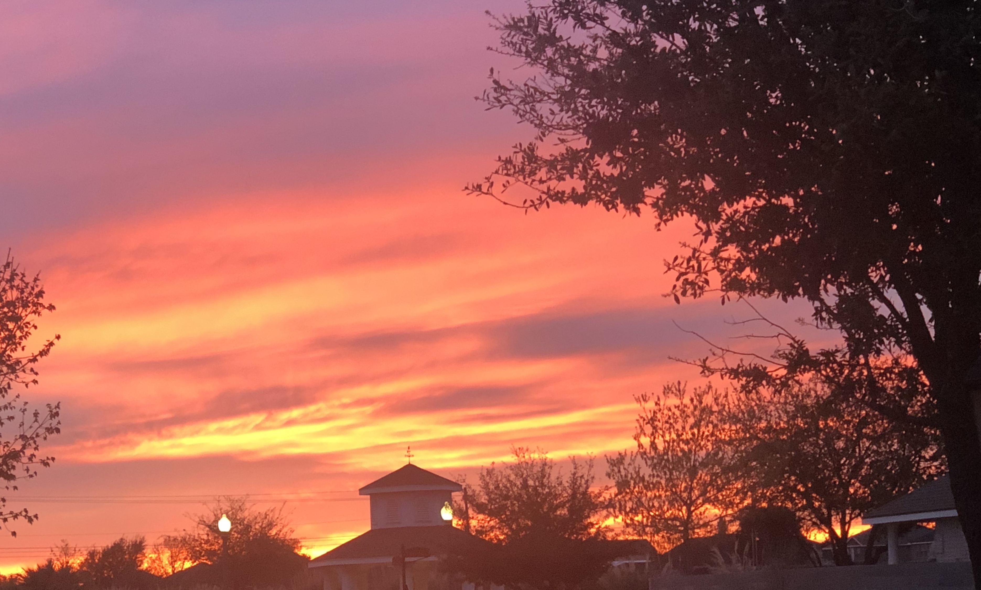 Miguel Márquez-Anaya