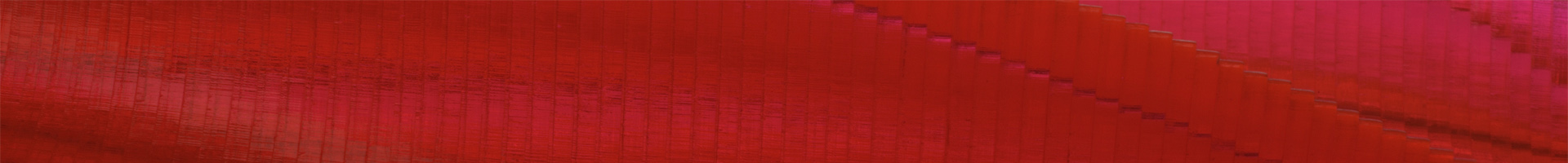 Dimitri Ginaqui Gudgenov