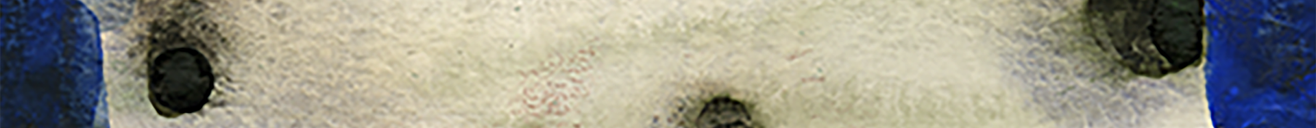 John Albert Duigenan