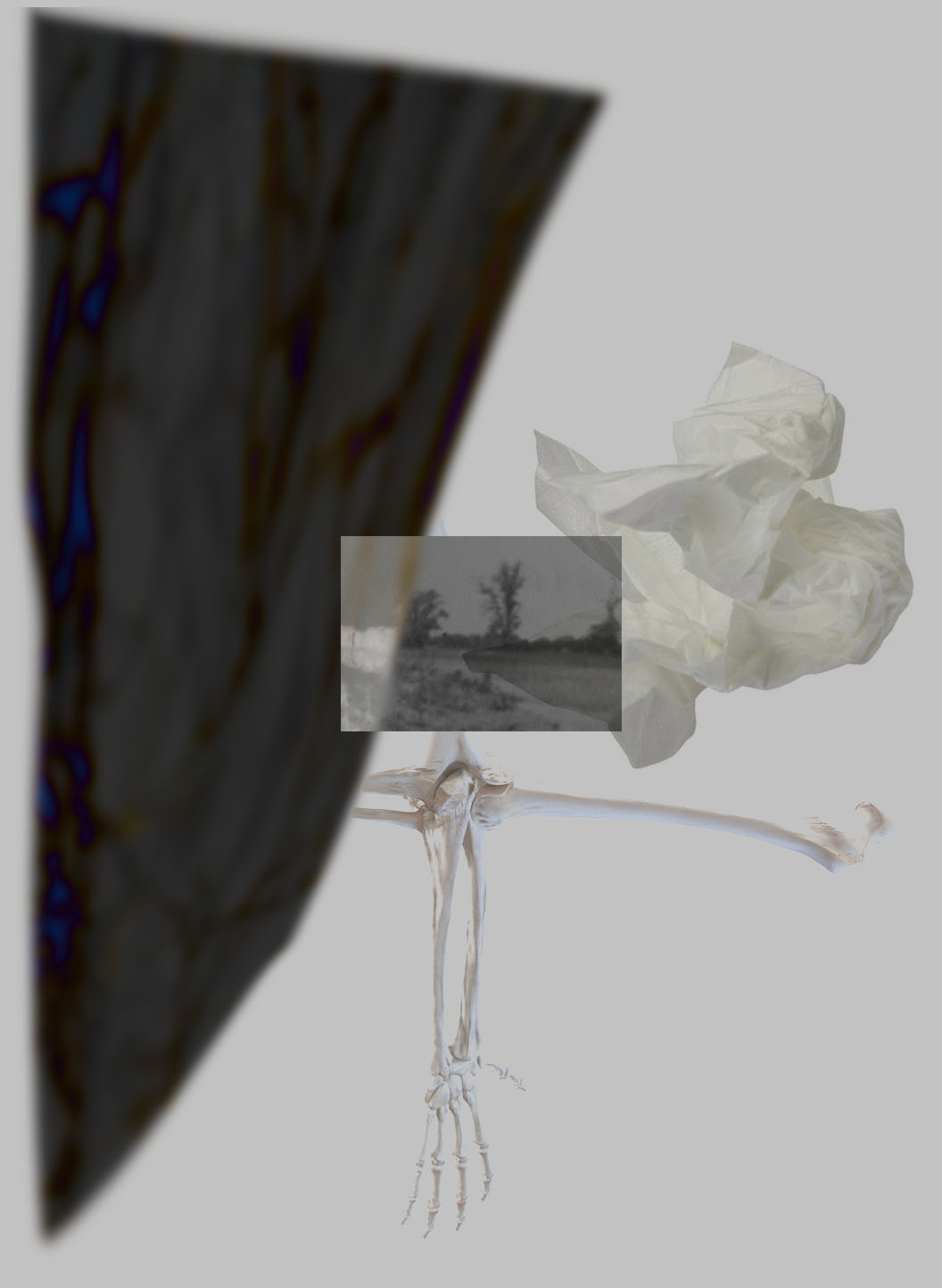 Małgorzata Maria Greszta