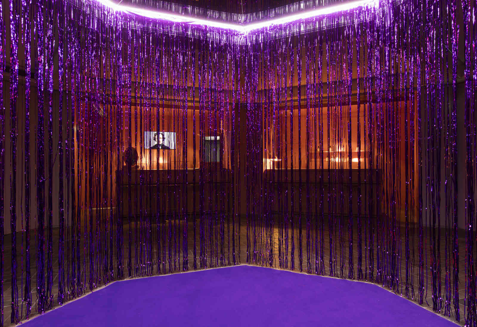 Valentina G Trevisiol