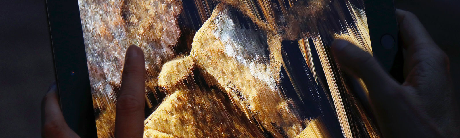 François Quévillon