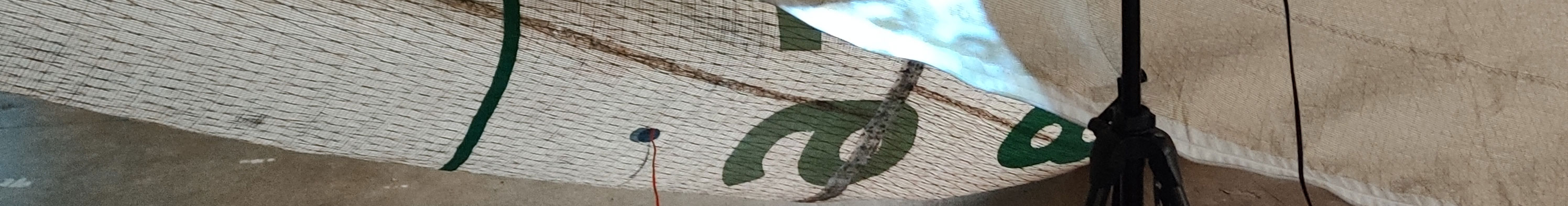 Veronica Shimanovskaya