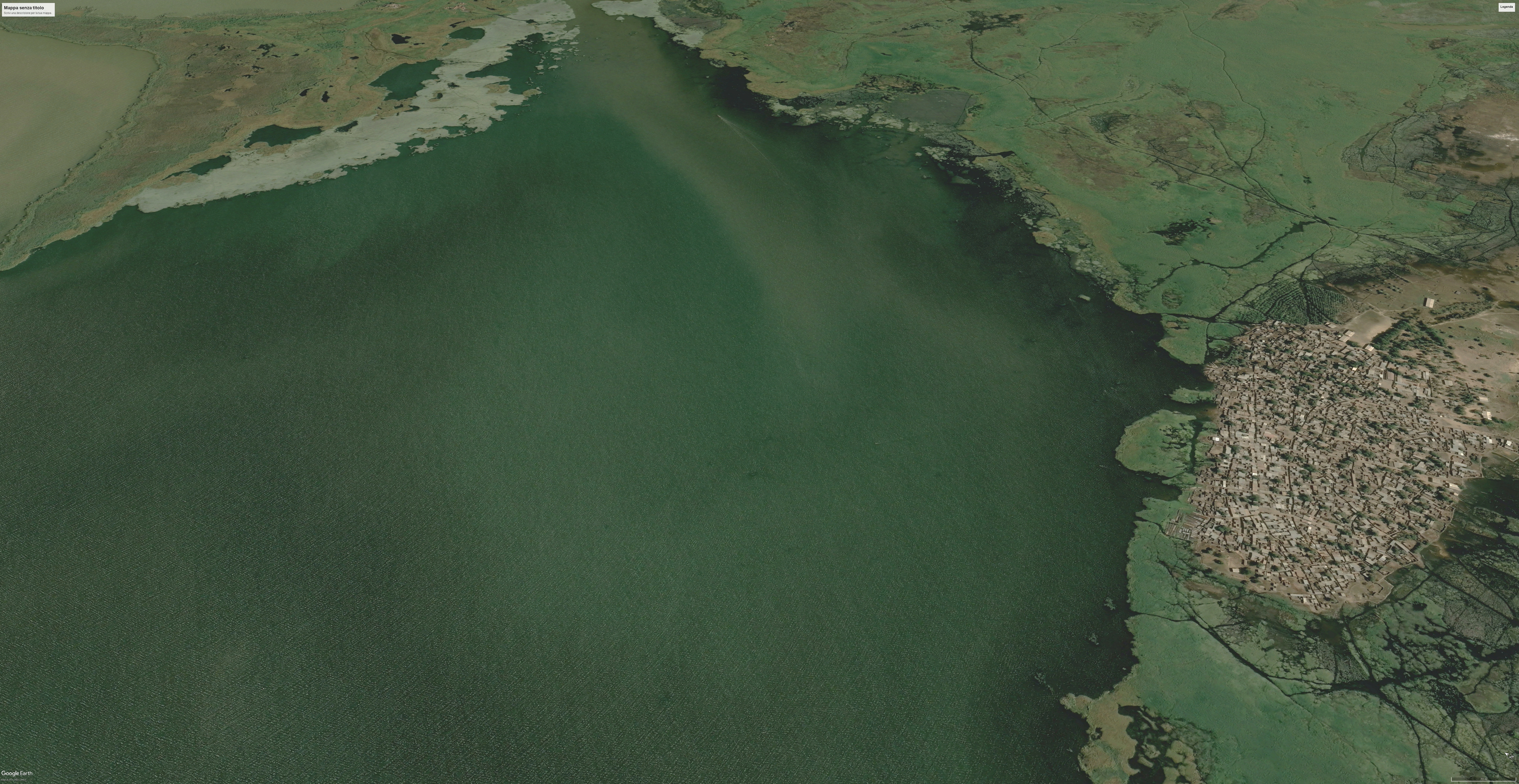 enrico nieri research