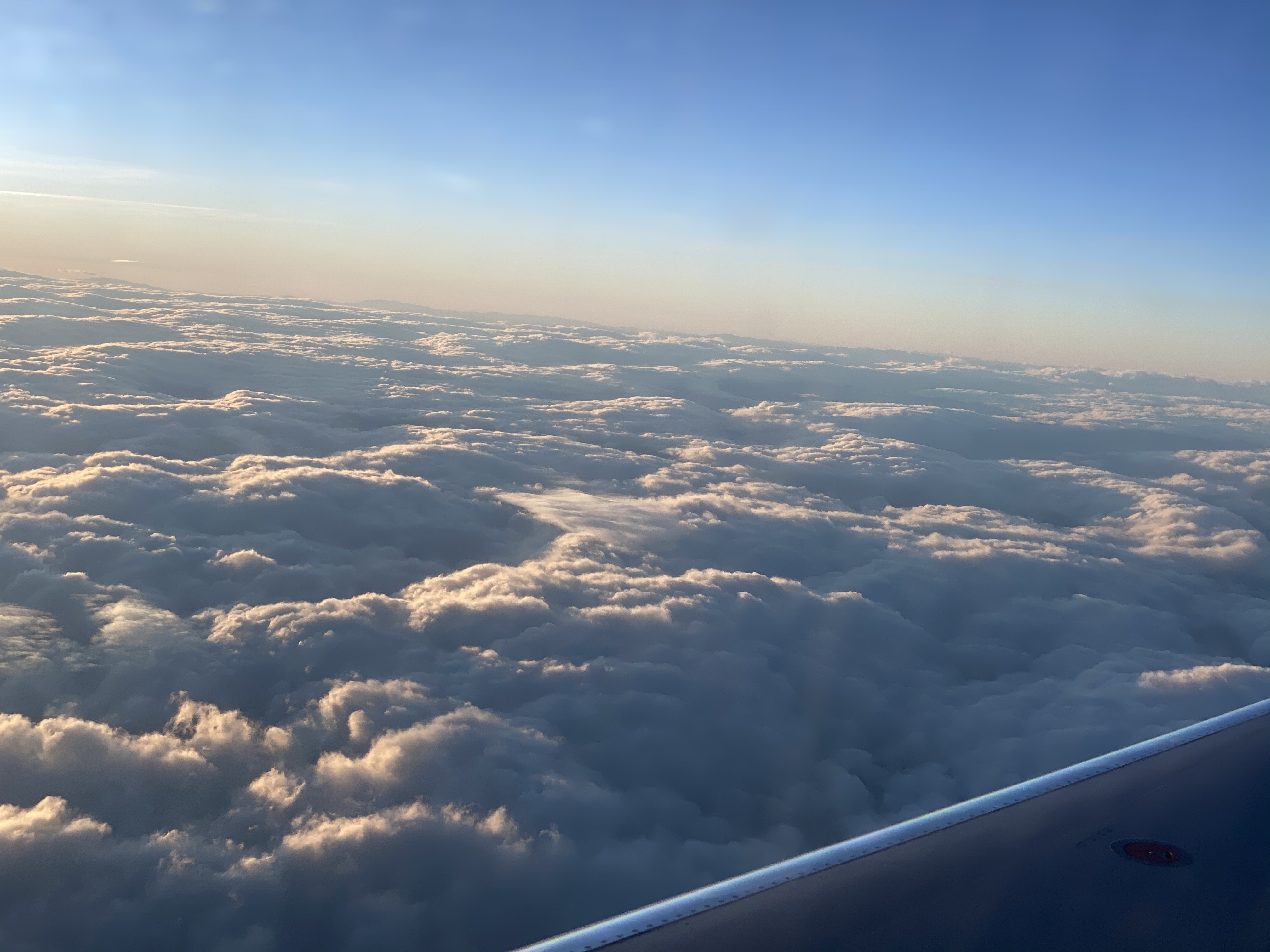 Peter Alexander Saladino