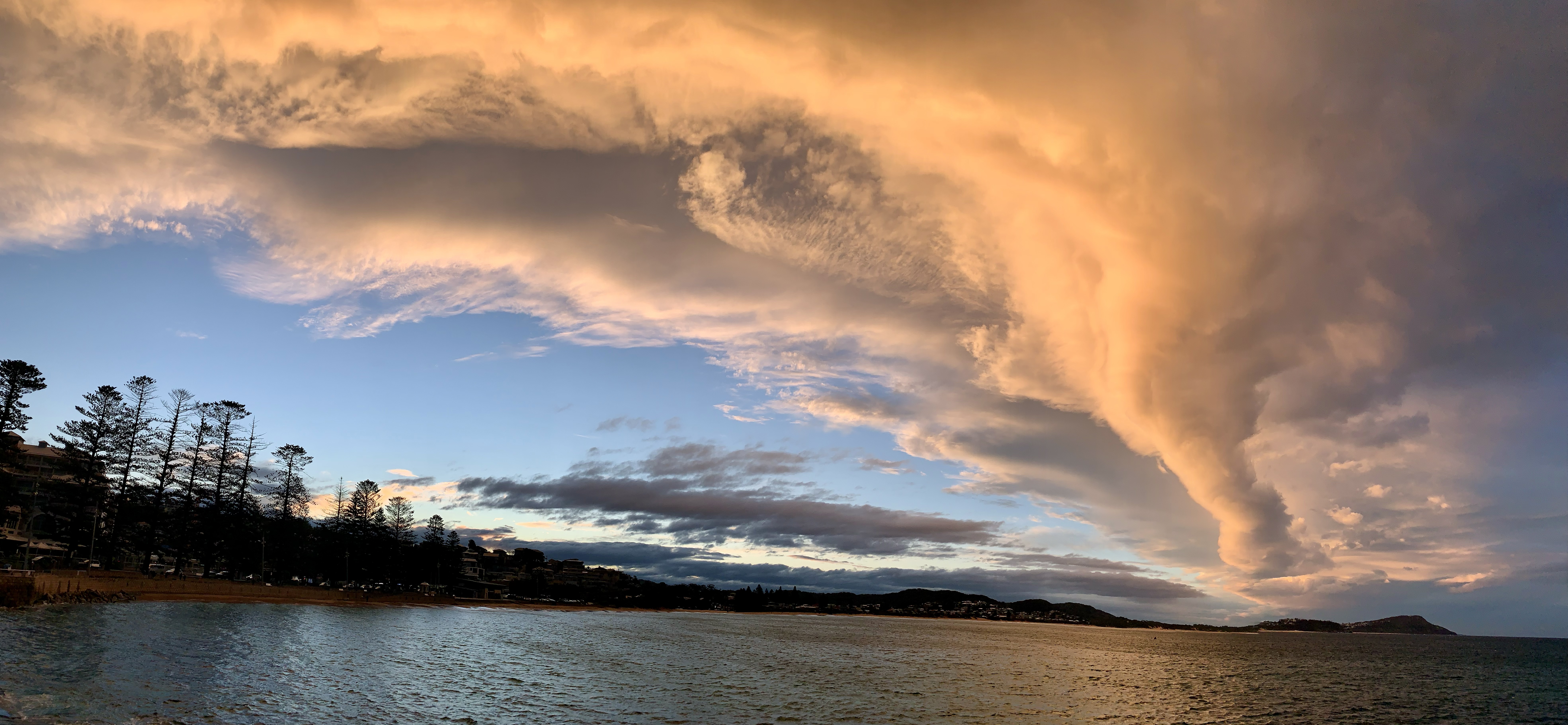 Scott William Archer