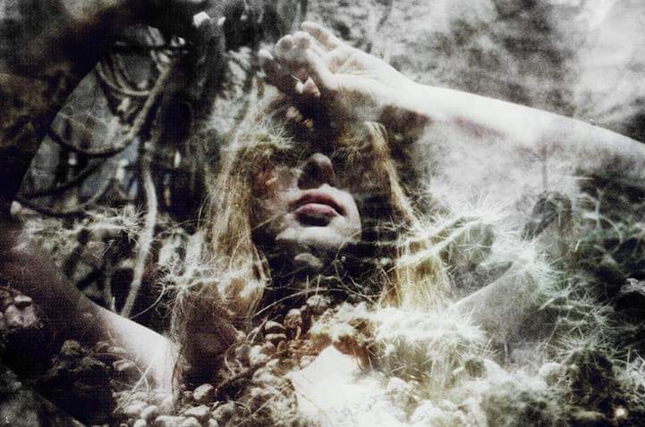 Amerigo the Wanderer