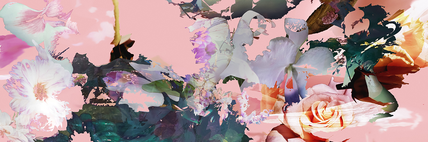 Agnieszka Maria Zieba