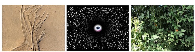 Paul Ed Mundio Fletcher